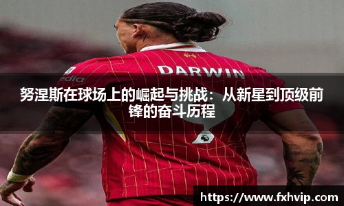 南宫ng28官方网站